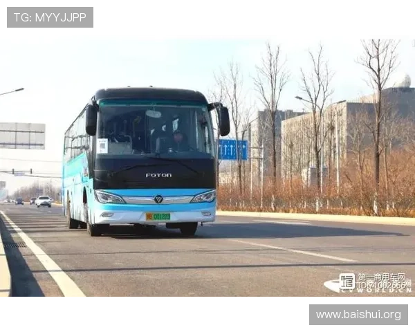 了解亚星集团近期重大项目进展及行业影响力分析