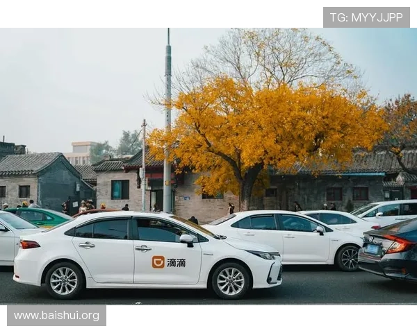 亚星会员官网安全登录流程与账号保护措施保障用户权益